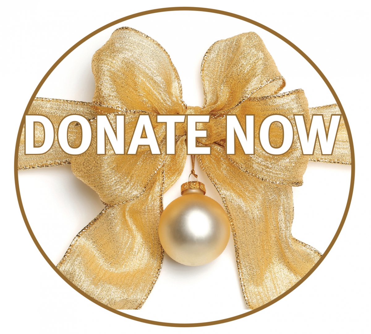 Donate Now Button.jpg