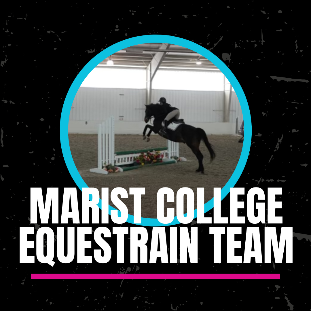 Click to learn my about the Marist Equestrian Team