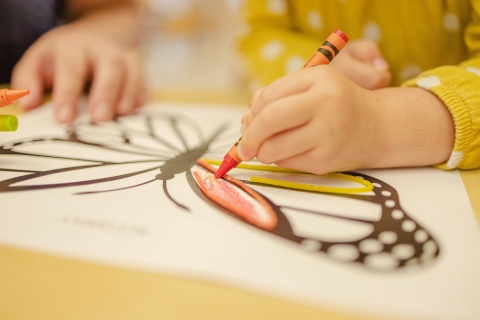 young girl coloring a butterfly